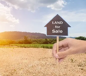 bh2.jpg